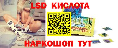 Альфа ПВП Кандалакша