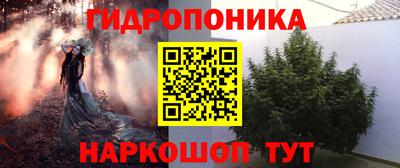 СК Канаш